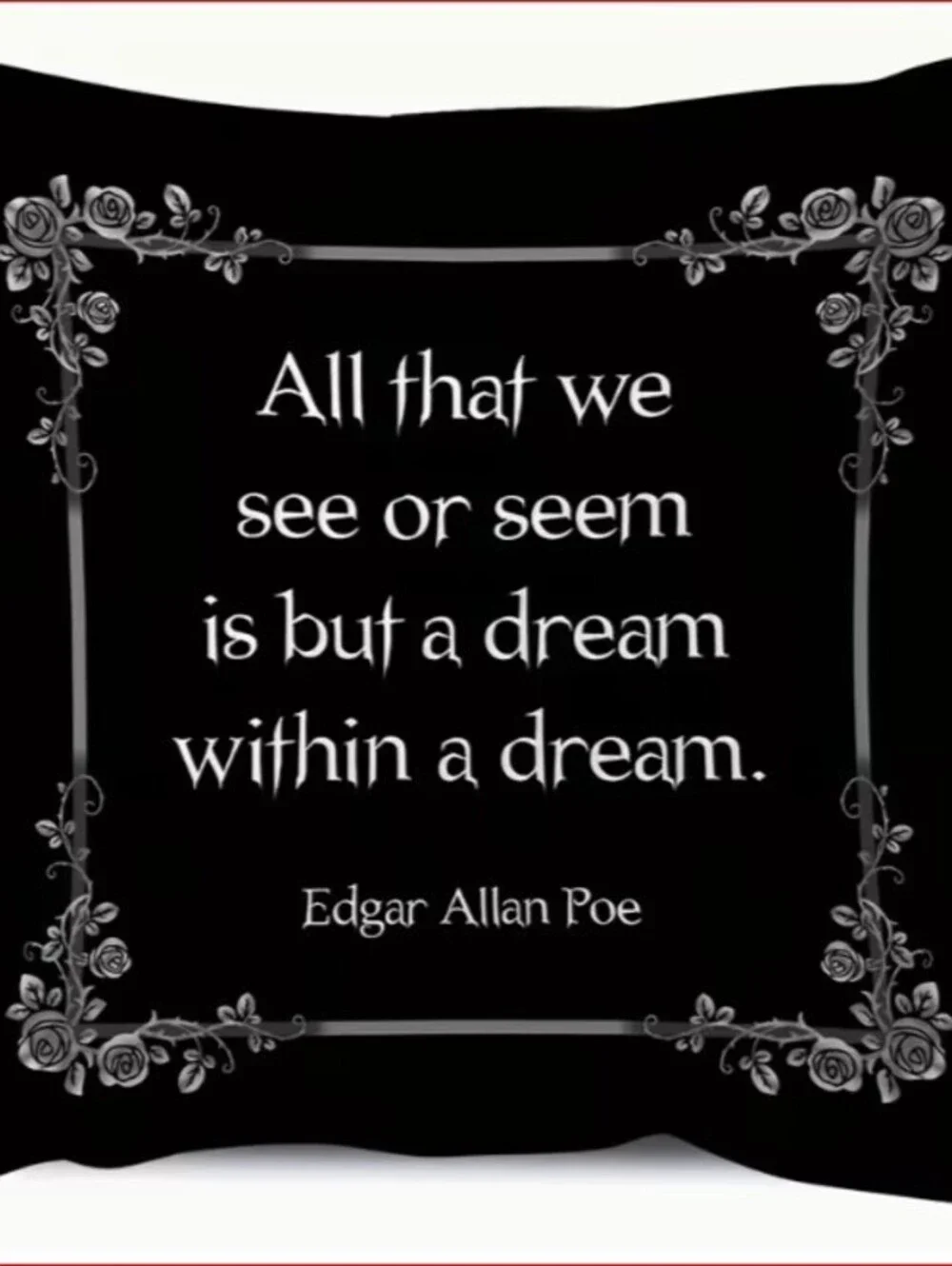 Edgar Allan Poe Quote Decorative Pillow with Coffin Shaped Storage Box